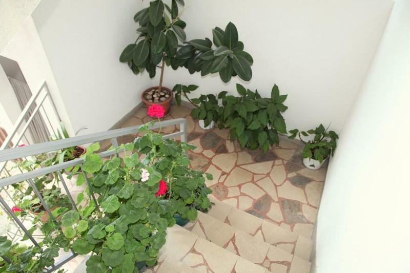 Apartments Villa Ravlic Makarska Extérieur photo